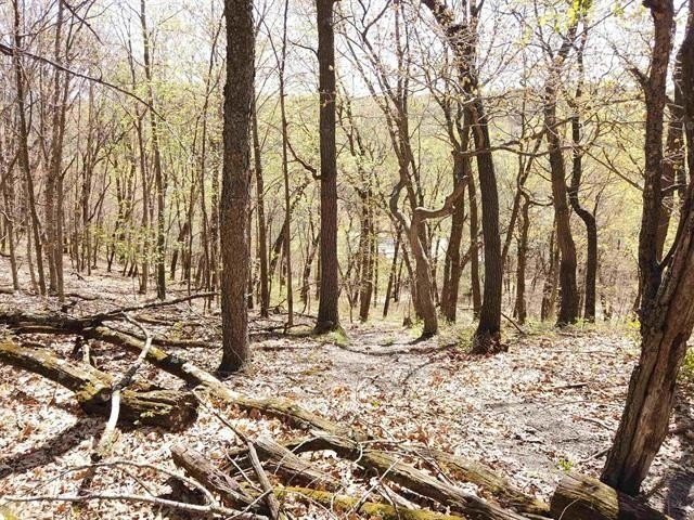 6.88-acre recreational property featuring a private pond, sand - photo 5