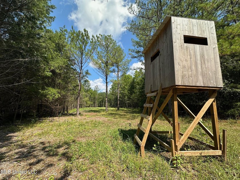 +/- 129 private acres nestled amongst nearly 180,000 acres of - photo 27