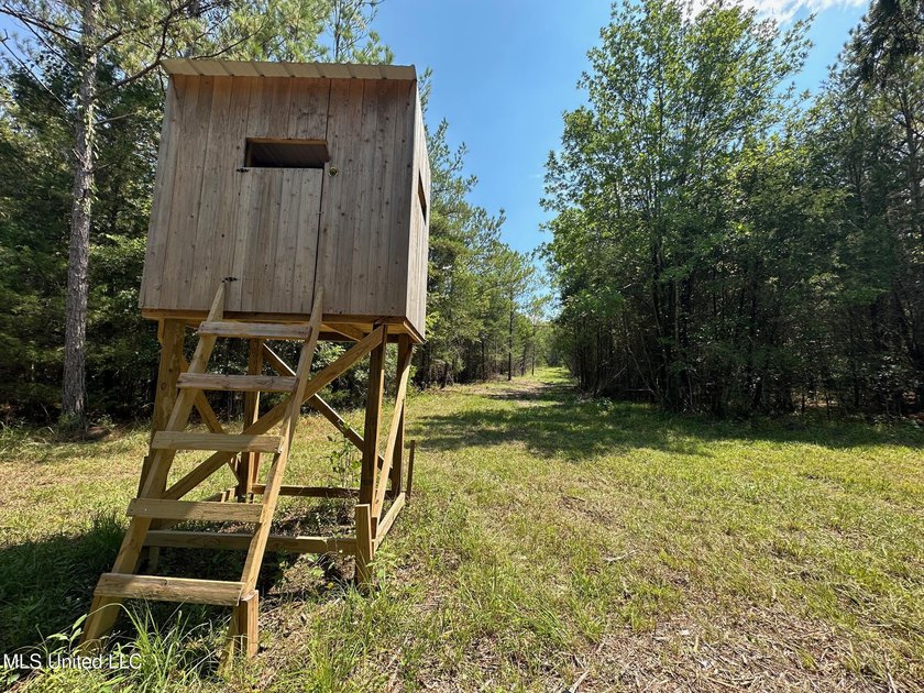 +/- 129 private acres nestled amongst nearly 180,000 acres of - photo 29