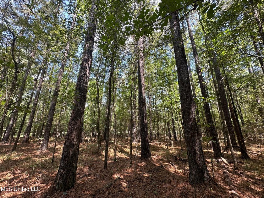 +/- 129 private acres nestled amongst nearly 180,000 acres of - photo 30