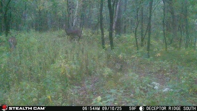 6.88-acre recreational property featuring a private pond, sand - photo 10