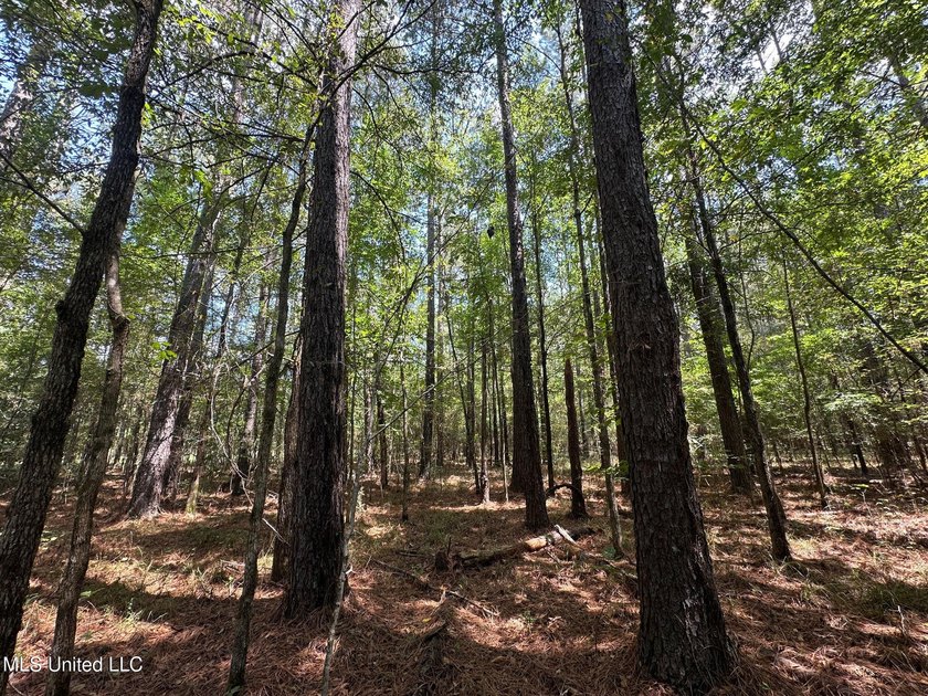 +/- 129 private acres nestled amongst nearly 180,000 acres of - photo 31