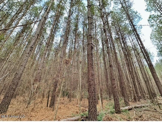 +/- 129 private acres nestled amongst nearly 180,000 acres of - photo 34