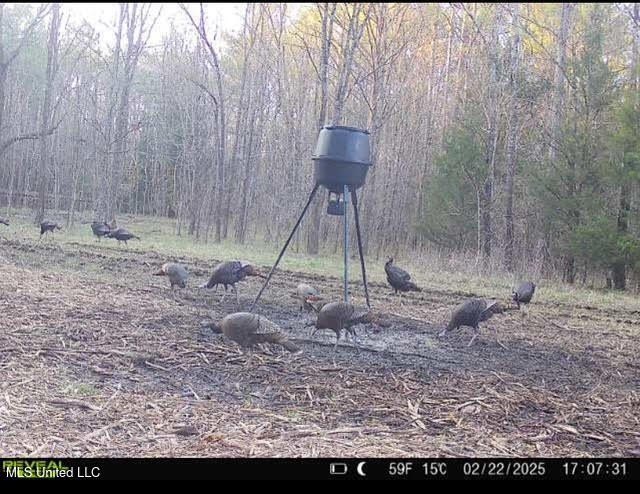 +/- 129 private acres nestled amongst nearly 180,000 acres of - photo 36