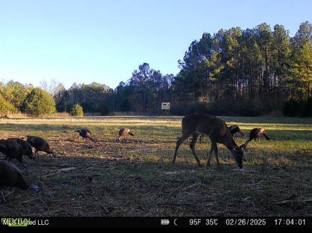 +/- 129 private acres nestled amongst nearly 180,000 acres of - photo 37