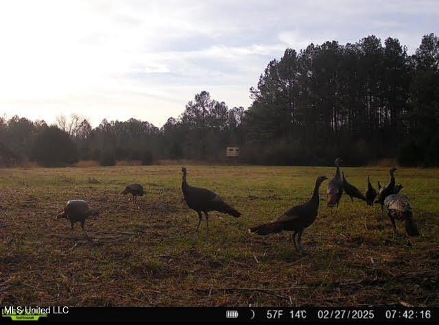 +/- 129 private acres nestled amongst nearly 180,000 acres of - photo 39