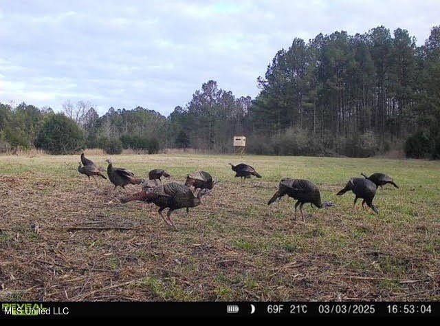 +/- 129 private acres nestled amongst nearly 180,000 acres of - photo 40
