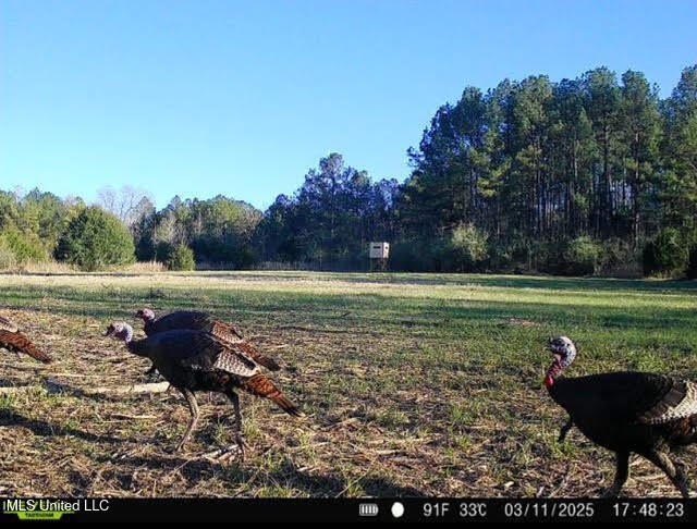 +/- 129 private acres nestled amongst nearly 180,000 acres of - photo 41