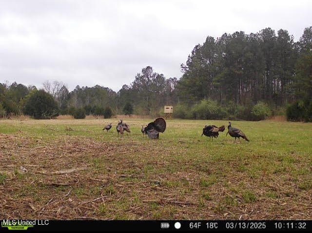 +/- 129 private acres nestled amongst nearly 180,000 acres of - photo 42