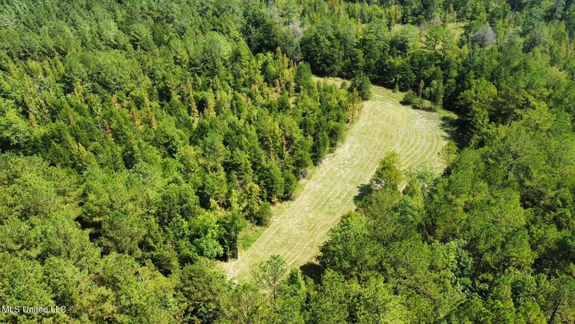 +/- 129 private acres nestled amongst nearly 180,000 acres of - photo 44