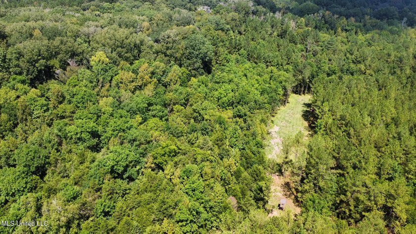 +/- 129 private acres nestled amongst nearly 180,000 acres of - photo 45