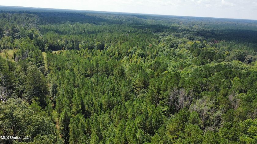 +/- 129 private acres nestled amongst nearly 180,000 acres of - photo 46
