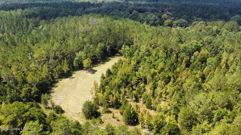 +/- 129 private acres nestled amongst nearly 180,000 acres of - photo 47