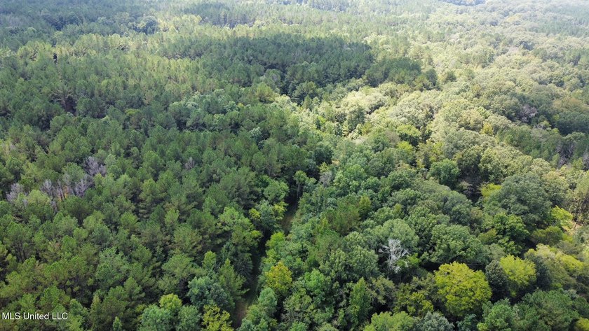 +/- 129 private acres nestled amongst nearly 180,000 acres of - photo 48