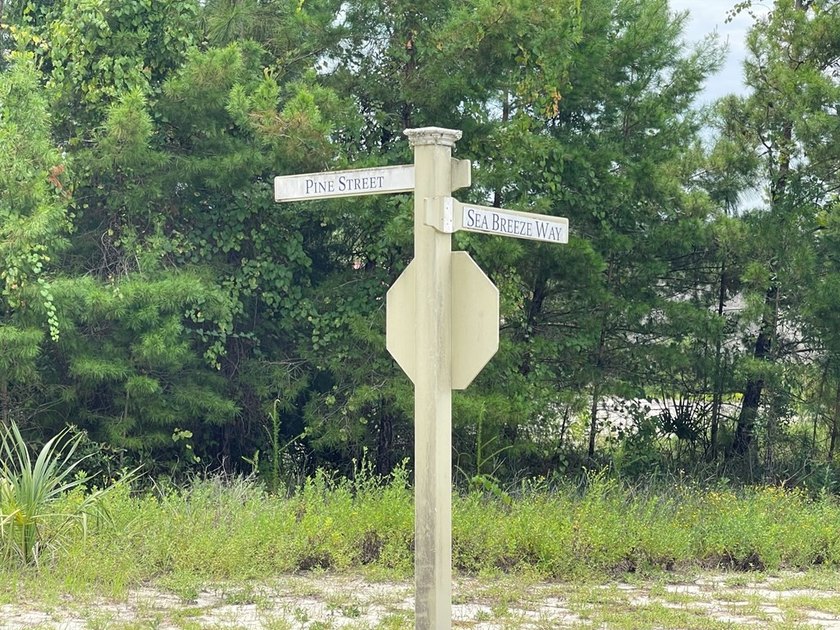 Nice lot ready to build your primary home, or a vacation rental - photo 3