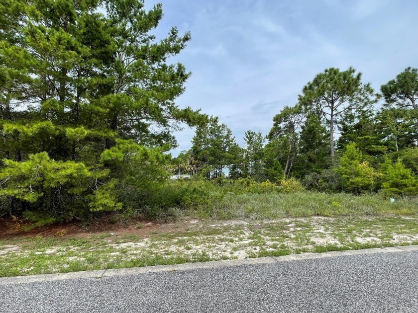 Beautiful lot located adjacent to community pool and clubhouse - photo 3