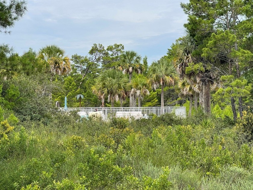 Beautiful lot located adjacent to community pool and clubhouse - photo 4