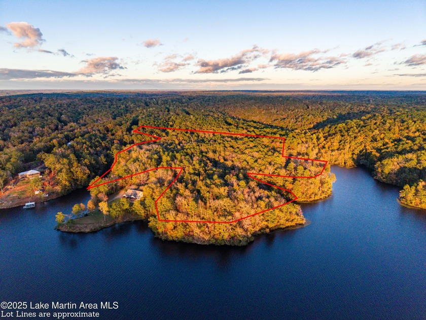 Welcome to Yates Lake! With 21 +/- acres and 2,000 +/- of - photo 11