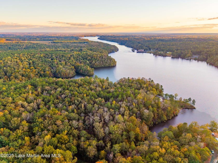 Welcome to Yates Lake! With 21 +/- acres and 2,000 +/- of - photo 13