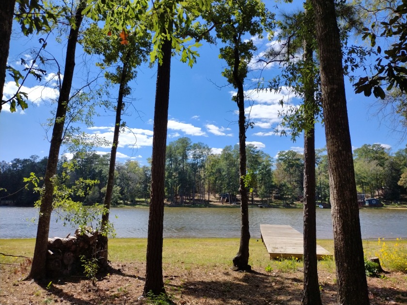 684 Lake Camelot Circle, Woodville, TX 75979, 4317242