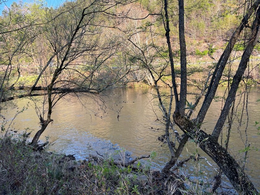 Level River Front lot on the Hiwassee River. Wide section of the - photo 7