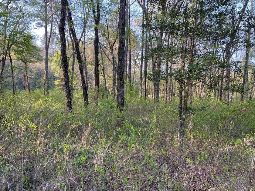 Level River Front lot on the Hiwassee River. Wide section of the - photo 8