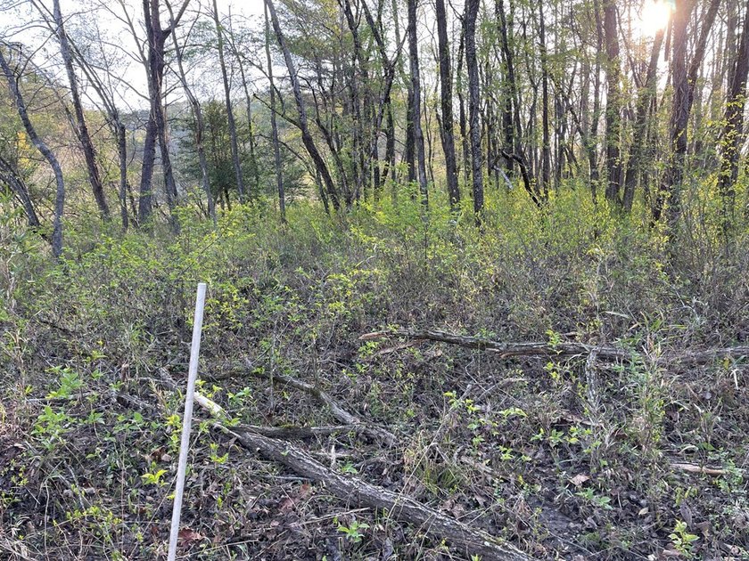 Level River Front lot on the Hiwassee River. Wide section of the - photo 9