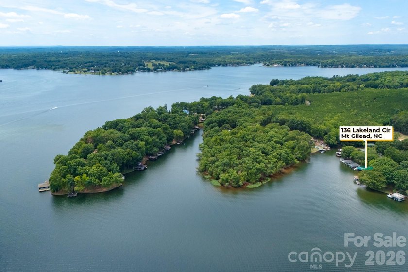 Big water. Level lot. One of Lake Tillery's finest boathouses - photo 38