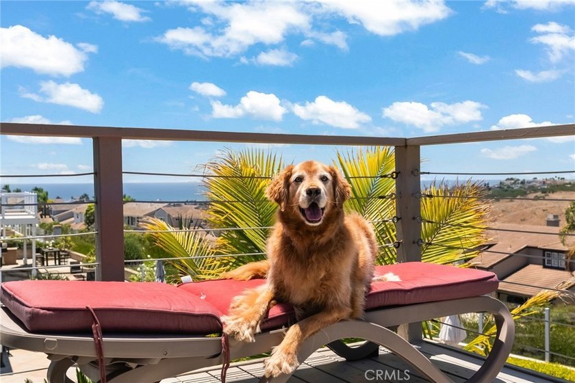 Experience breathtaking views of the ocean, Catalina Island, and - photo 28