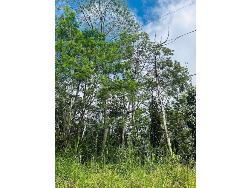 Lot located in Nanawale Estates Subdivision in the Puna District - photo 3