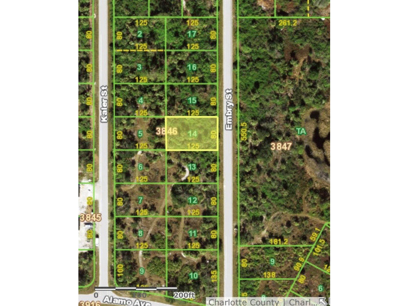 Enjoy the best of Florida living with this vacant lot - photo 3