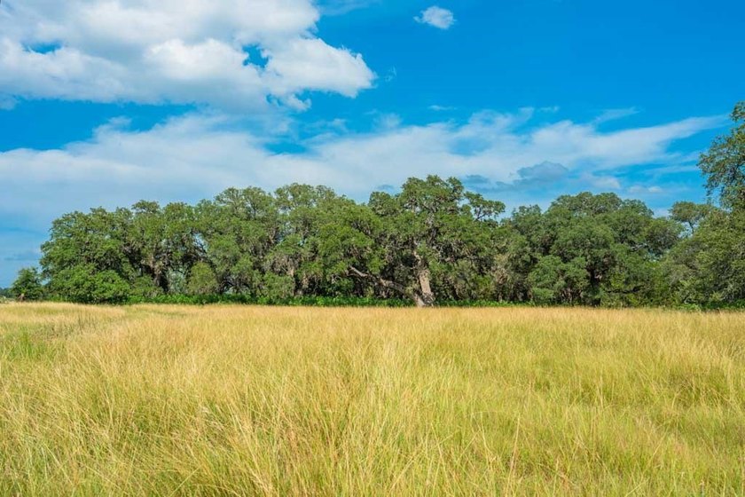 Norco Ranch NW is the northern, 90-acre portion of the 200-acre - photo 6
