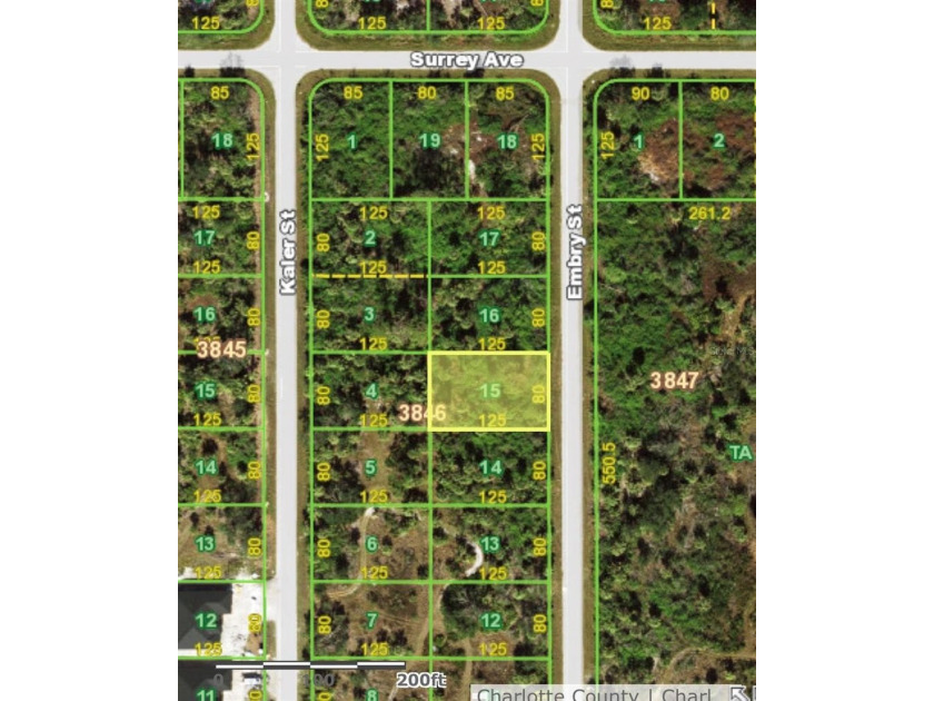 Enjoy the best of Florida living with this vacant lot - photo 3