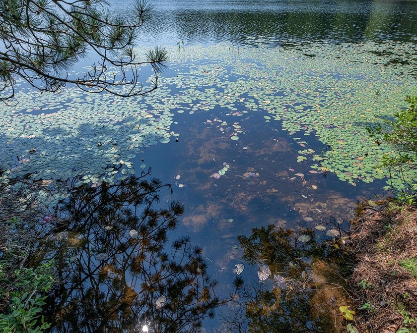 Candidly breathtaking lake front lot in Newbold awaits its new - photo 11