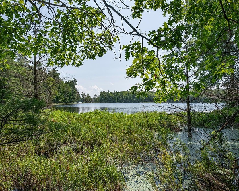 Candidly breathtaking lake front lot in Newbold awaits its new - photo 12