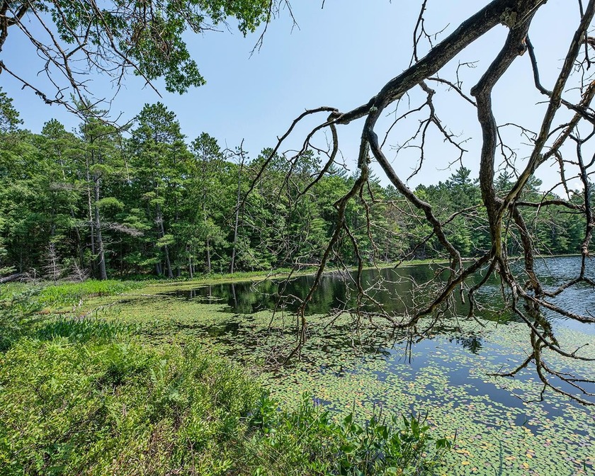 Candidly breathtaking lake front lot in Newbold awaits its new - photo 13