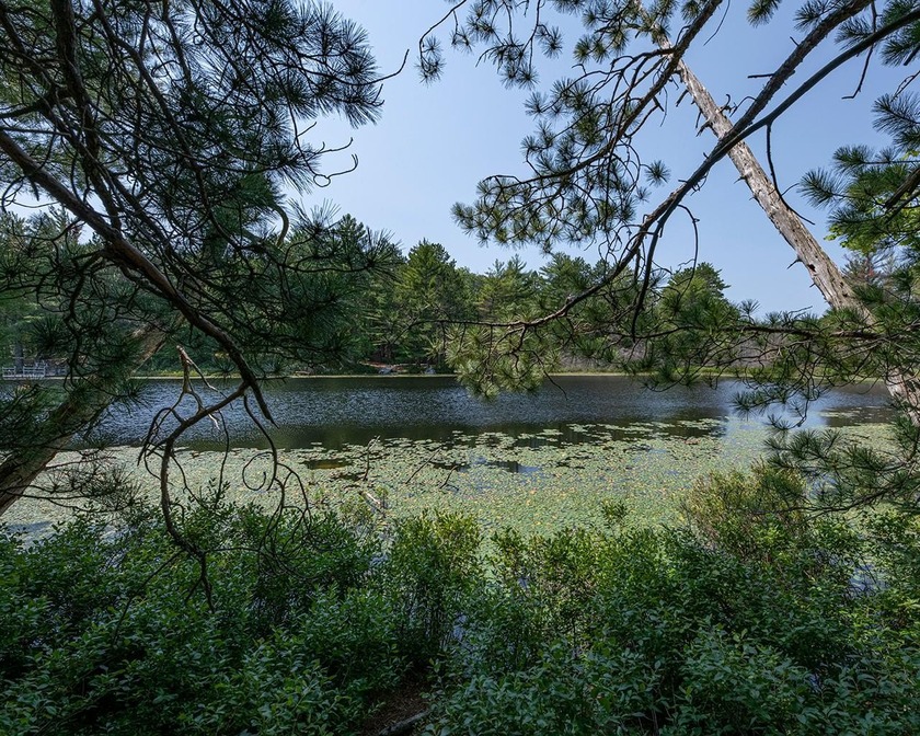 Candidly breathtaking lake front lot in Newbold awaits its new - photo 14