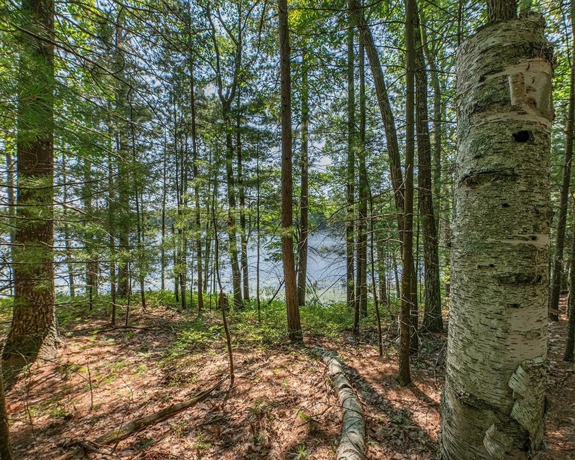 Candidly breathtaking lake front lot in Newbold awaits its new - photo 15