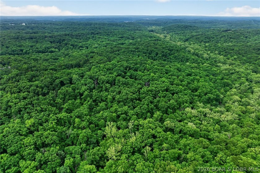 WOW! New Price! Rare opportunity to own 23+ wooded acres with a - photo 40