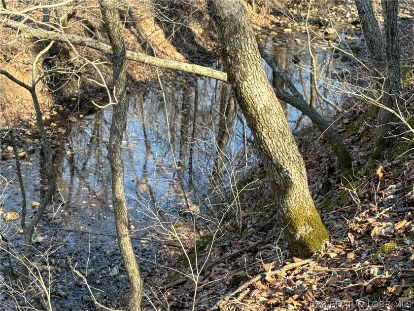 WOW! New Price! Rare opportunity to own 23+ wooded acres with a - photo 43