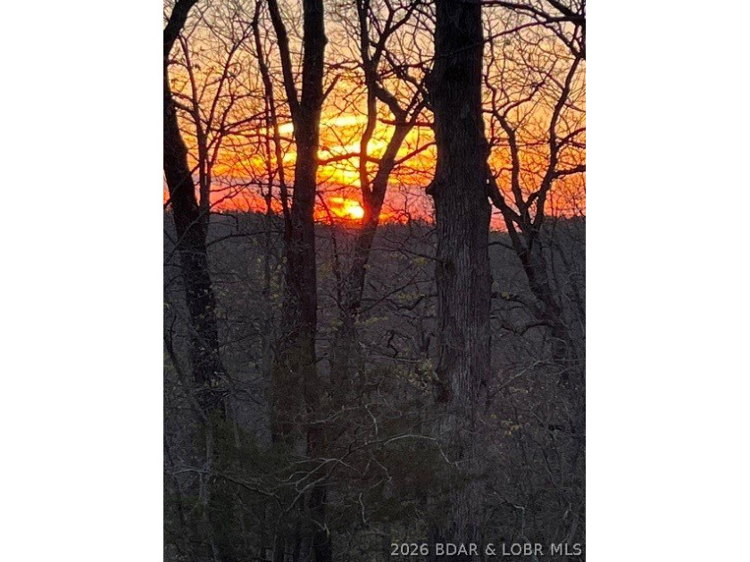 WOW! New Price! Rare opportunity to own 23+ wooded acres with a - photo 45