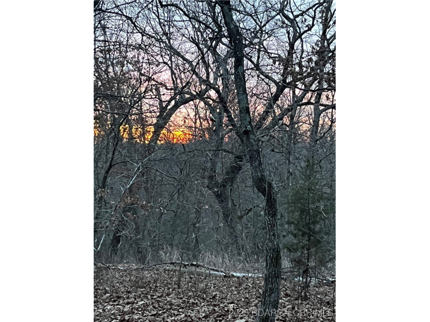 WOW! New Price! Rare opportunity to own 23+ wooded acres with a - photo 52