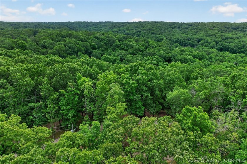 WOW! New Price! Rare opportunity to own 23+ wooded acres with a - photo 59