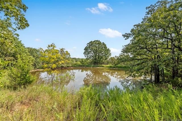 Beautiful Wooded 70 acres M/L Property on the Corner of NEW PRUE - photo 5