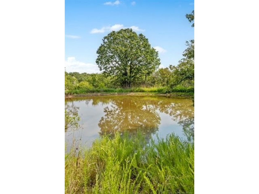 Beautiful Wooded 70 acres M/L Property on the Corner of NEW PRUE - photo 6