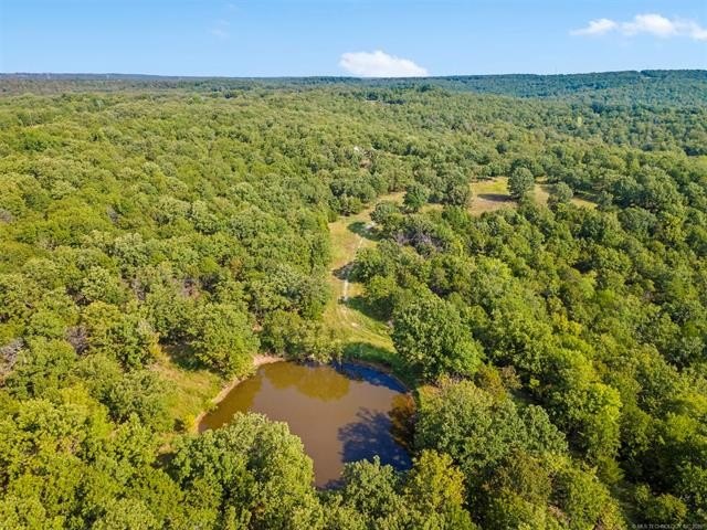 Beautiful Wooded 70 acres M/L Property on the Corner of NEW PRUE - photo 7