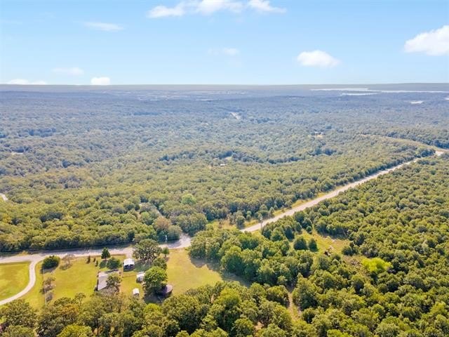Beautiful Wooded 70 acres M/L Property on the Corner of NEW PRUE - photo 9