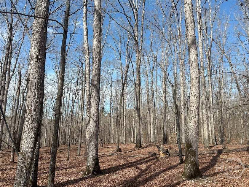 Oconee Preserve is a +/- 197.12 Acre Conservation Tract located - photo 8