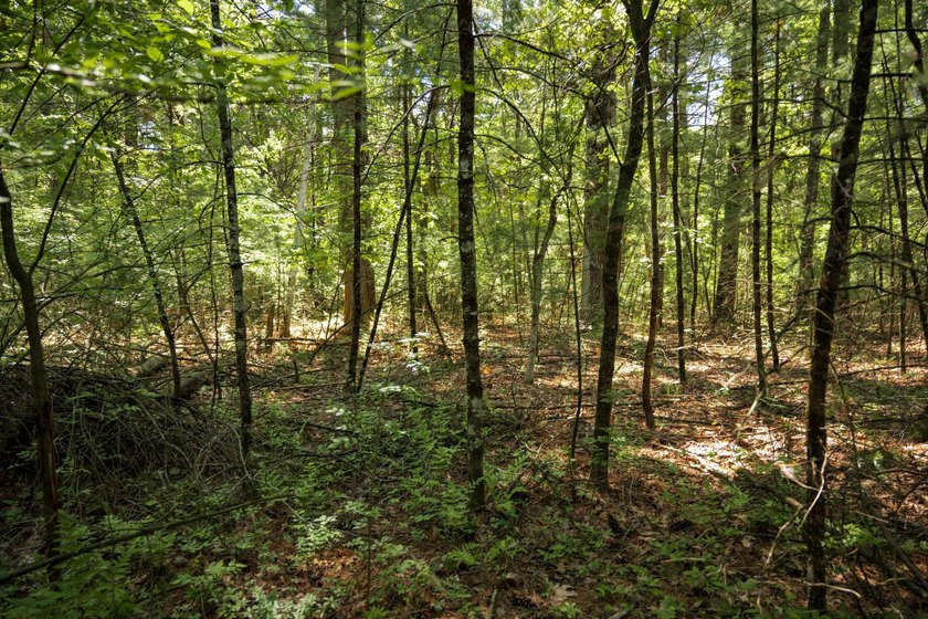 Come take a look at this 1 acre parcel with deeded access to - photo 7