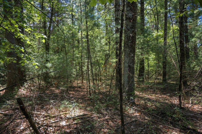 Come take a look at this 1 acre parcel with deeded access to - photo 9